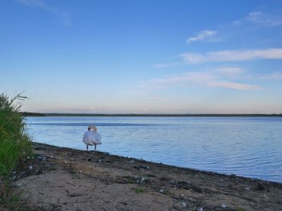 豊かな自然を満喫できる道の駅「ウトナイ湖」の屋上デッキ／北海道苫小牧市