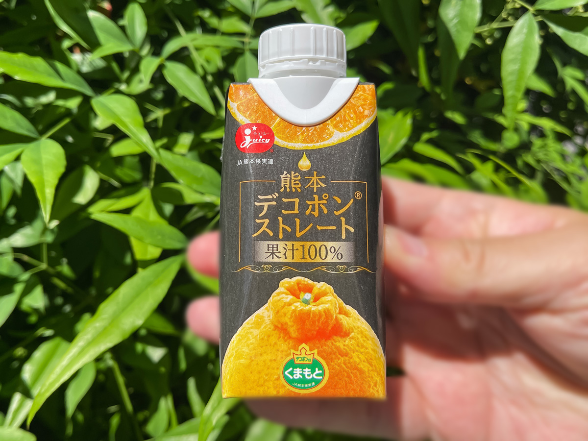 スイス洋菓子店(SWISS)の"リキュールマロン"と"プティマロン"食べてみたよ/熊本アンテナショップ