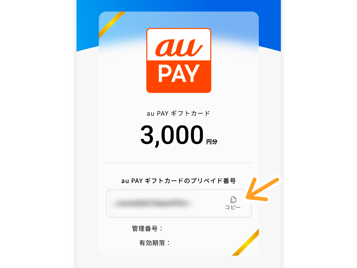 前澤給装工業(6485)の株主優待 "選べるe-GIFT"を「au PAY」に残高チャージしたよ!