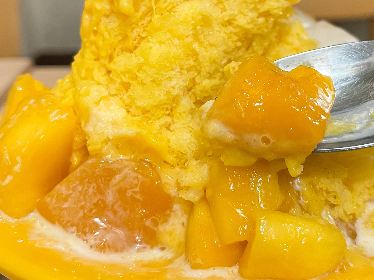 台湾茶専門「鼎雲茶倉」のアップルマンゴー付き"マンゴーかき氷" オーギョーチトッピング食べた!/横浜・中華街