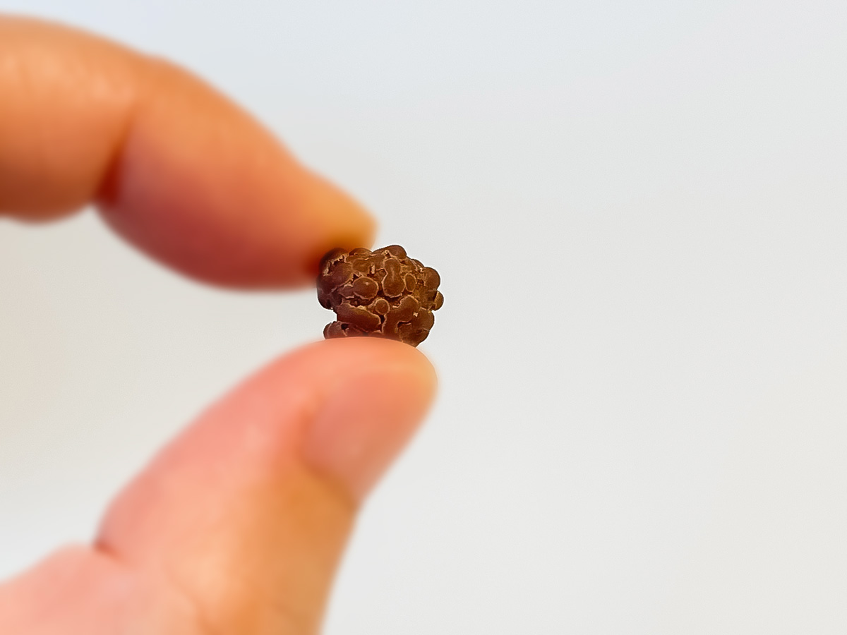「タマチャンショップ」都城本店でチキン南蛮、牛すじの出汁香るまろやかカレー、唐揚げ食べた！／宮崎県都城