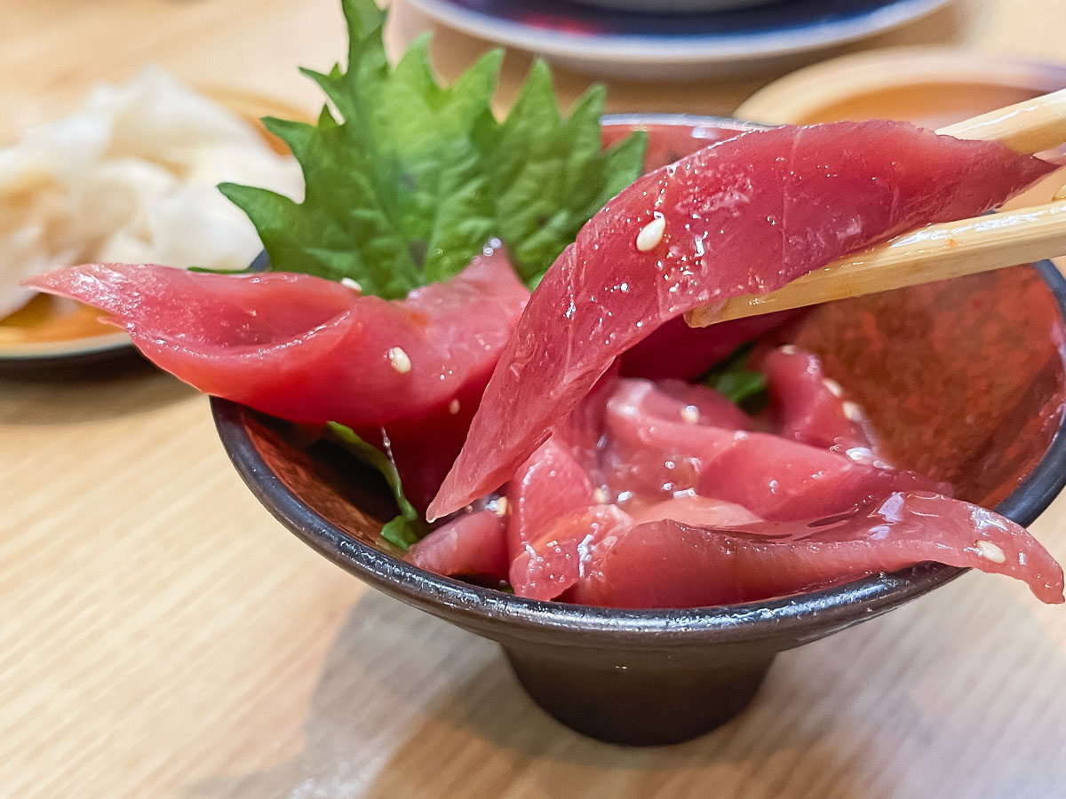 回転寿司「すし遊館」で生本まぐろの赤身・中とろ・大とろ・極上ねぎとろ食べたよ！