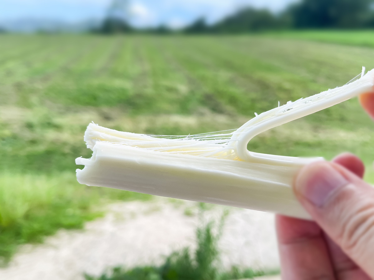 「NYU sagotani」で瓶の牛乳とナチュラルチーズ買ったよ！／広島県湯来町・サゴタニ牛乳