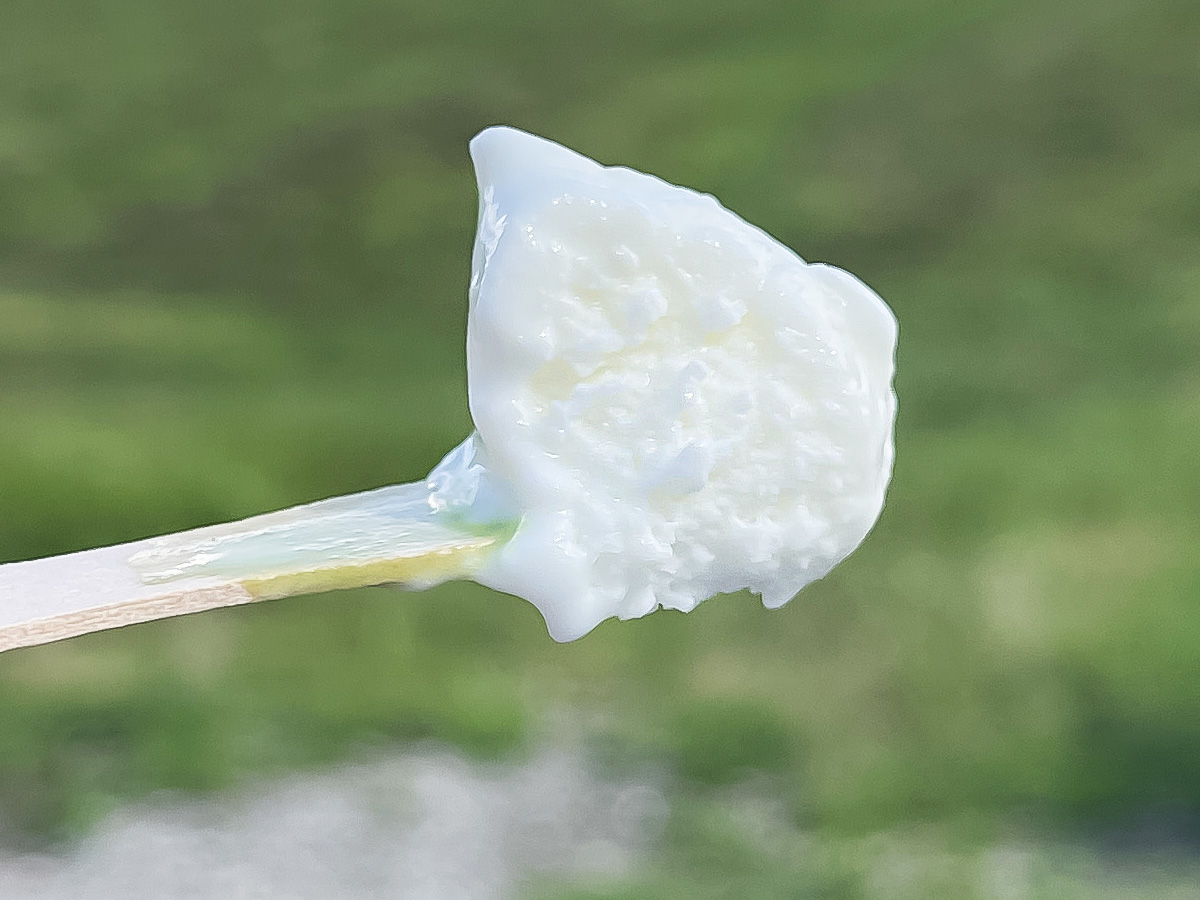 「サゴタニ牛乳」でソフトクリームと抹茶・ヨーグルトジェラート食べた!/広島県湯来町