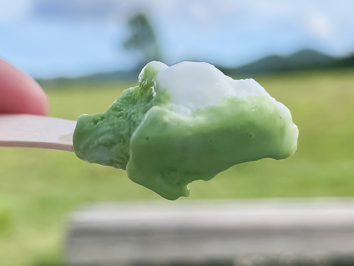 「サゴタニ牛乳」でソフトクリームと抹茶・ヨーグルトジェラート食べた!/広島県湯来町