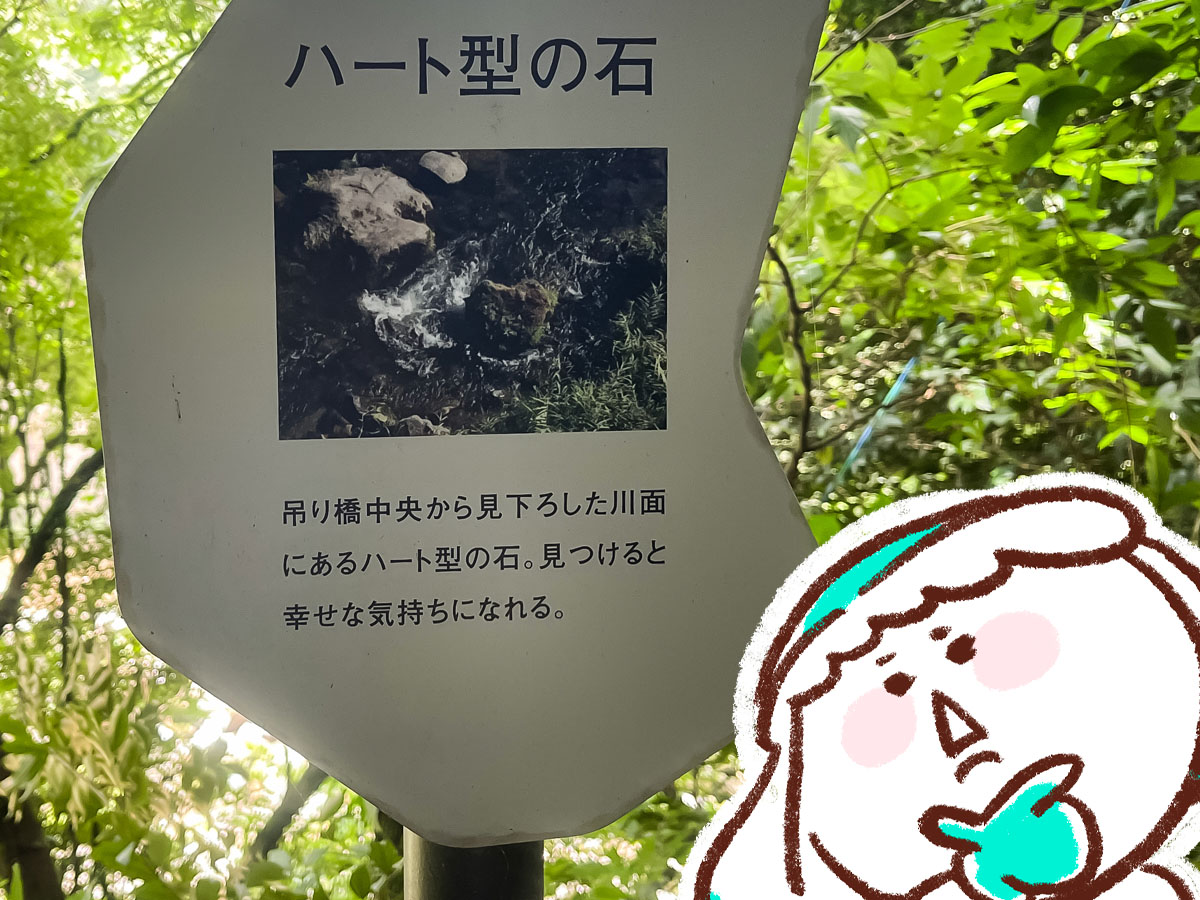 日本の滝百選に選ばれた名瀑「関之尾滝」に行ったみた！／宮崎県都城