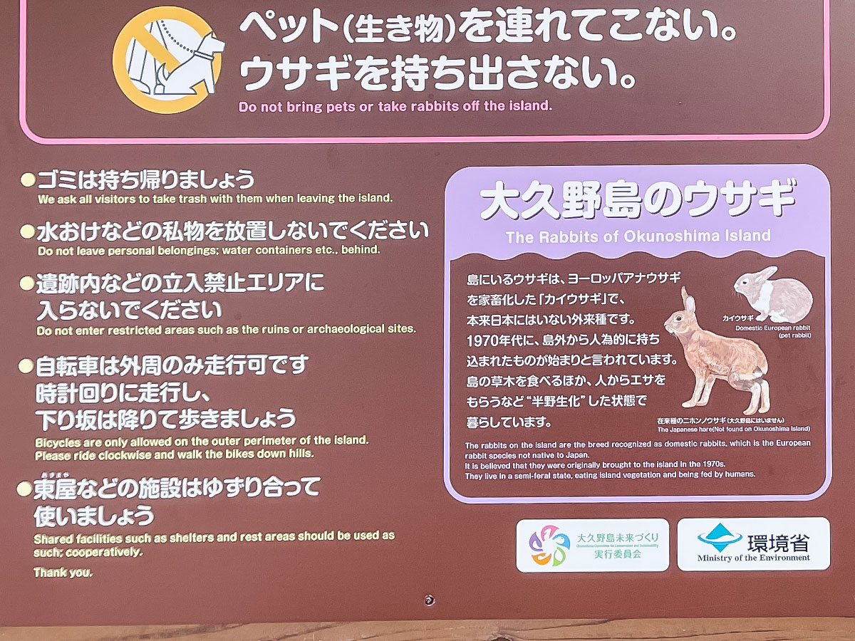 レンタル自転車で一周！大久野島(おおくのしま)でうさぎに癒されたよー／広島県竹原
