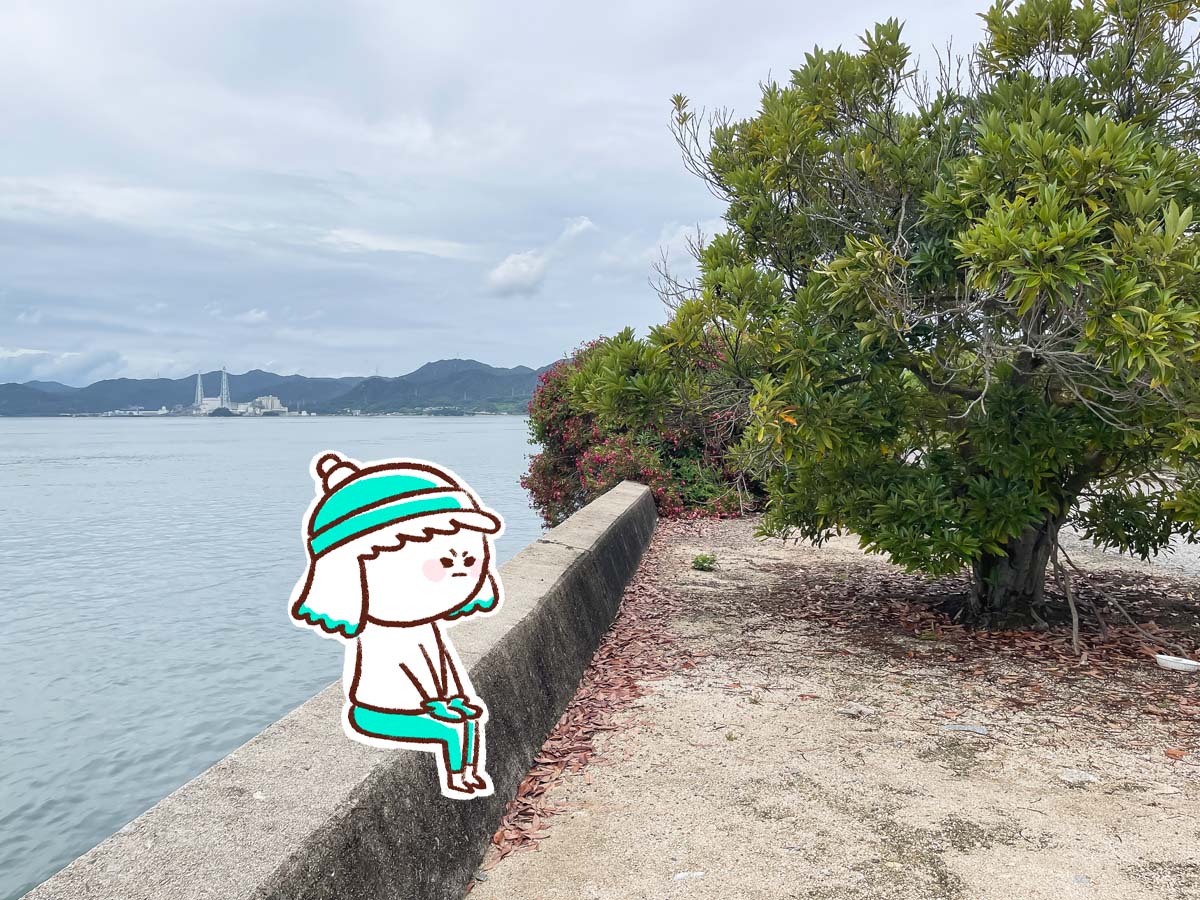 レンタル自転車で一周！大久野島(おおくのしま)でうさぎに癒されたよー／広島県竹原