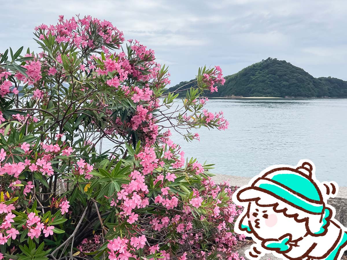レンタル自転車で一周！大久野島(おおくのしま)でうさぎに癒されたよー／広島県竹原