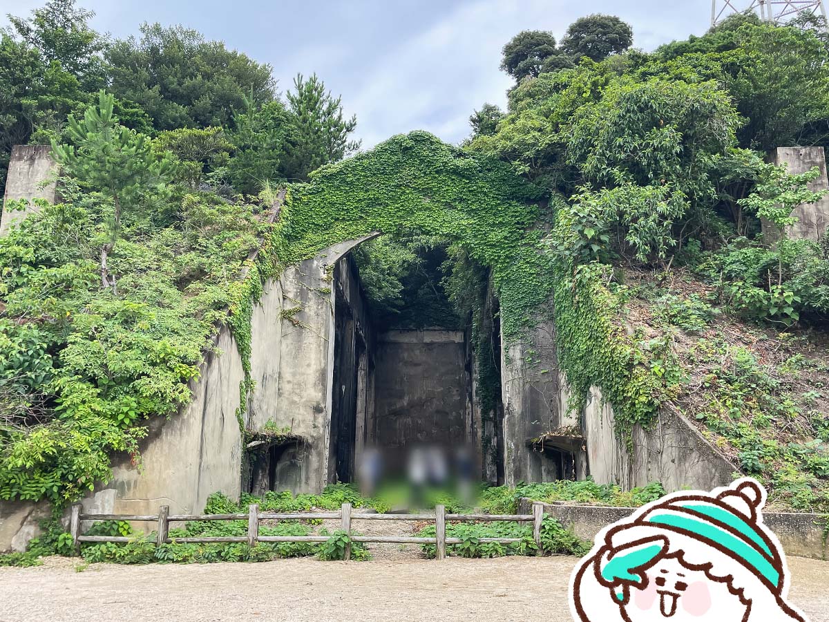 レンタル自転車で一周！大久野島(おおくのしま)でうさぎに癒されたよー／広島県竹原