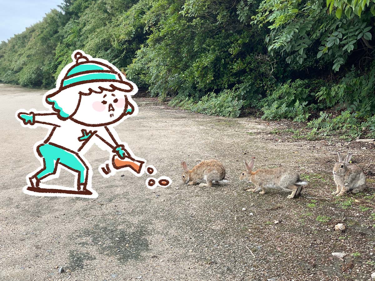 レンタル自転車で一周！大久野島(おおくのしま)でうさぎに癒されたよー／広島県竹原