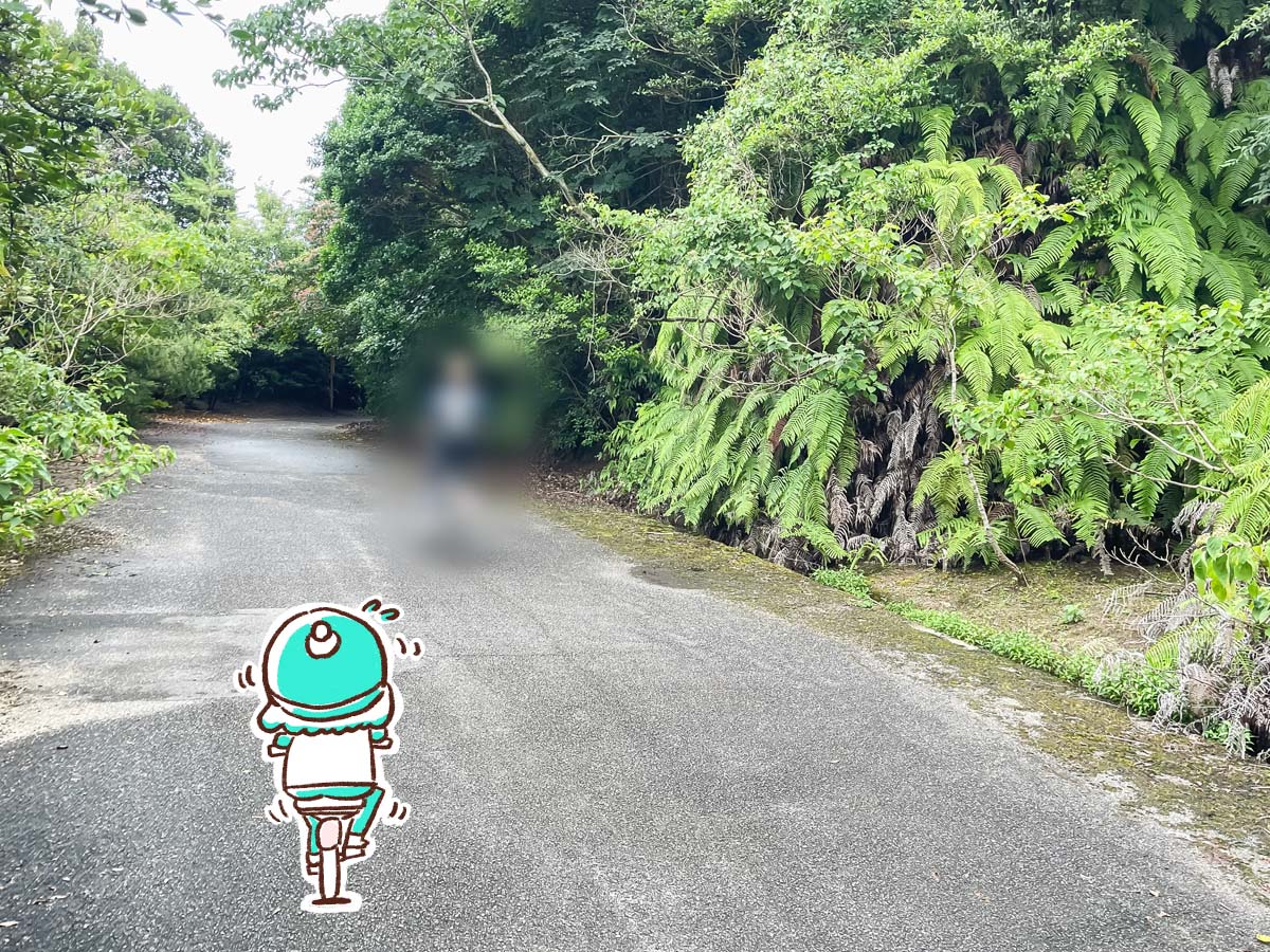 レンタル自転車で一周！大久野島(おおくのしま)でうさぎに癒されたよー／広島県竹原