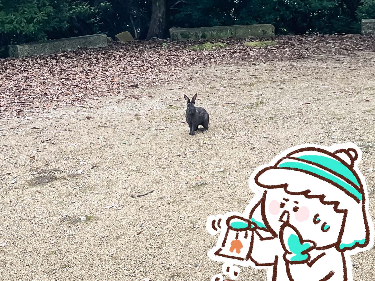 レンタル自転車で一周！大久野島(おおくのしま)でうさぎに癒されたよー／広島県竹原