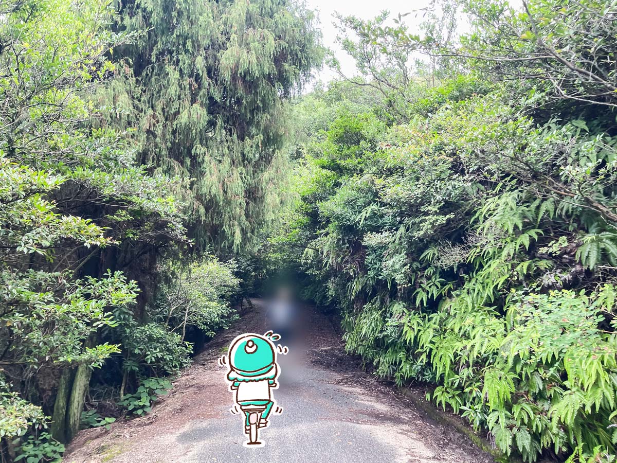 レンタル自転車で一周！大久野島(おおくのしま)でうさぎに癒されたよー／広島県竹原