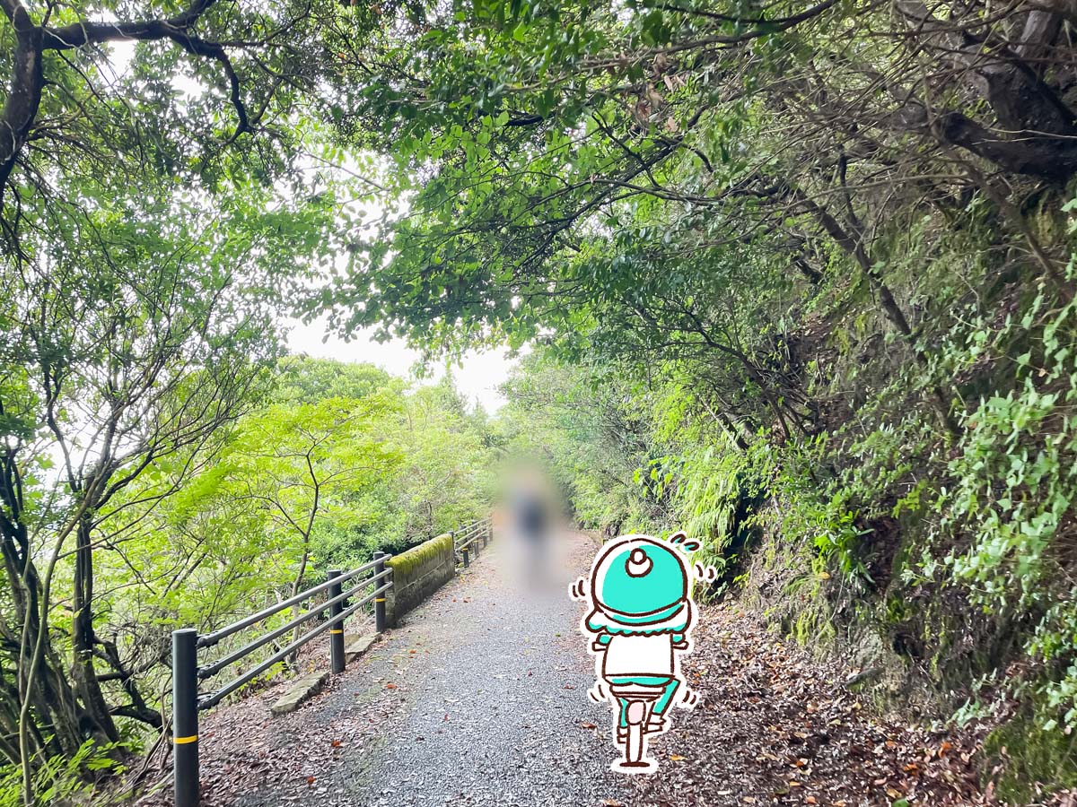 レンタル自転車で一周！大久野島(おおくのしま)でうさぎに癒されたよー／広島県竹原
