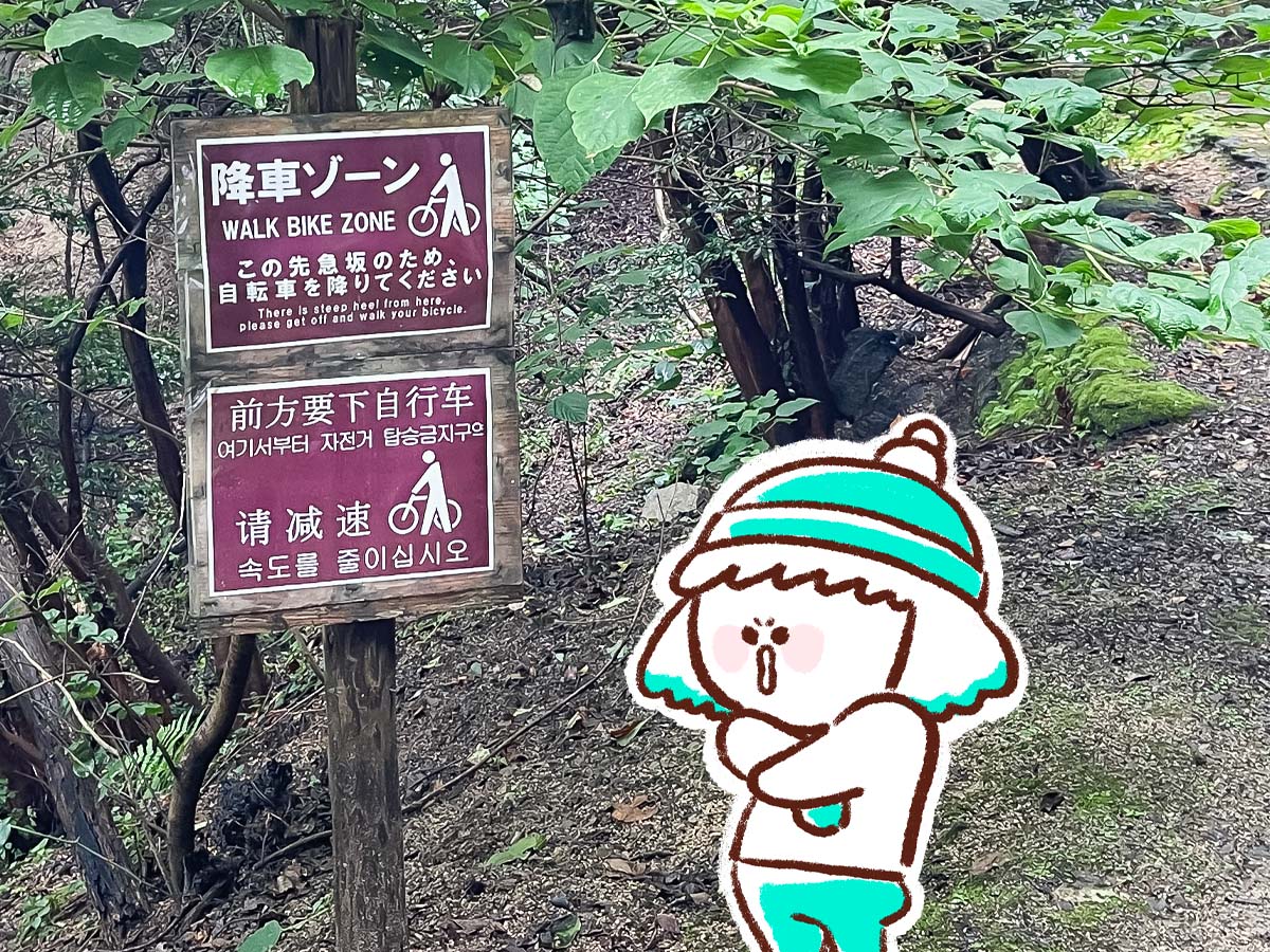 レンタル自転車で一周！大久野島(おおくのしま)でうさぎに癒されたよー／広島県竹原