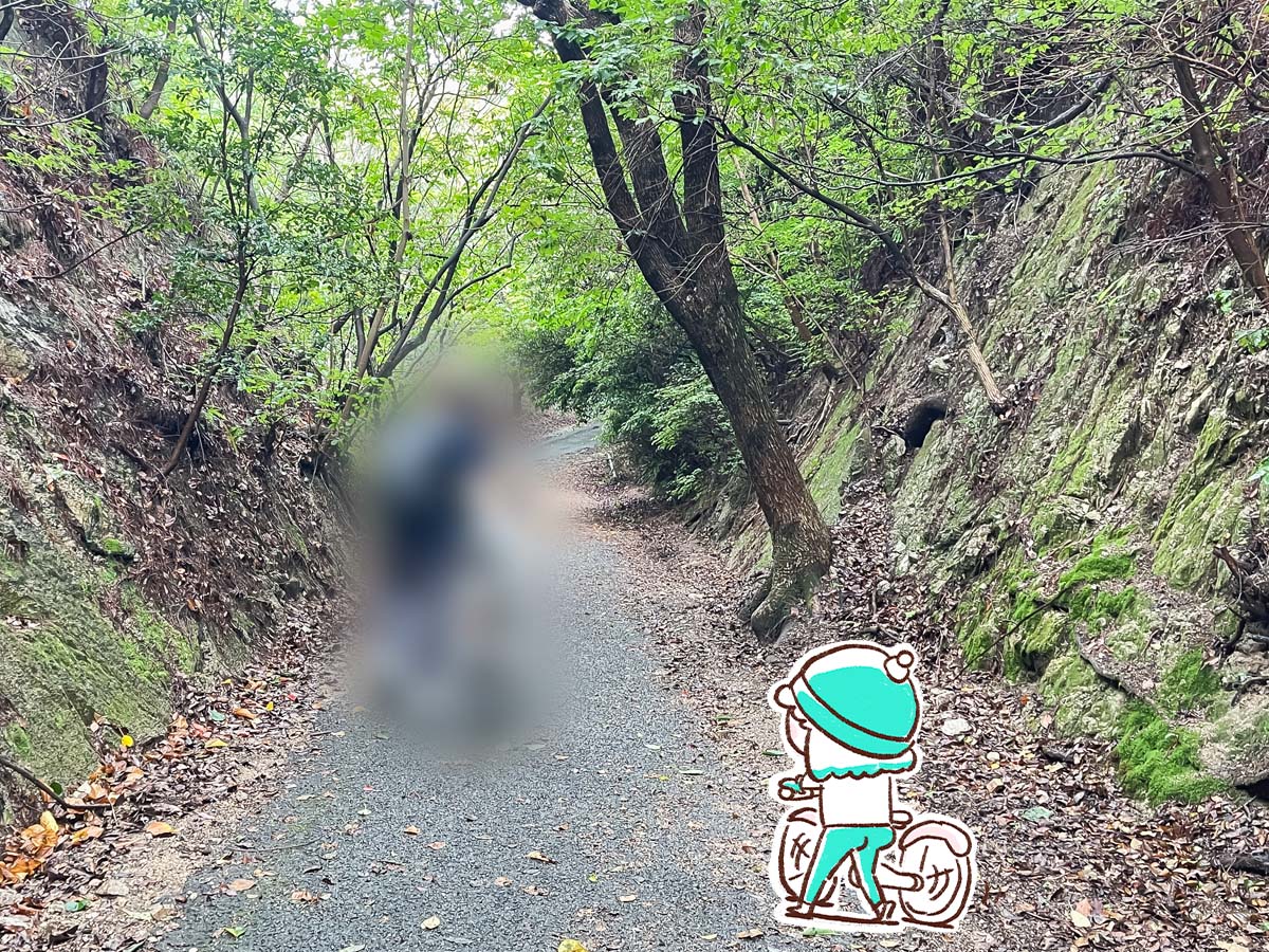 レンタル自転車で一周！大久野島(おおくのしま)でうさぎに癒されたよー／広島県竹原