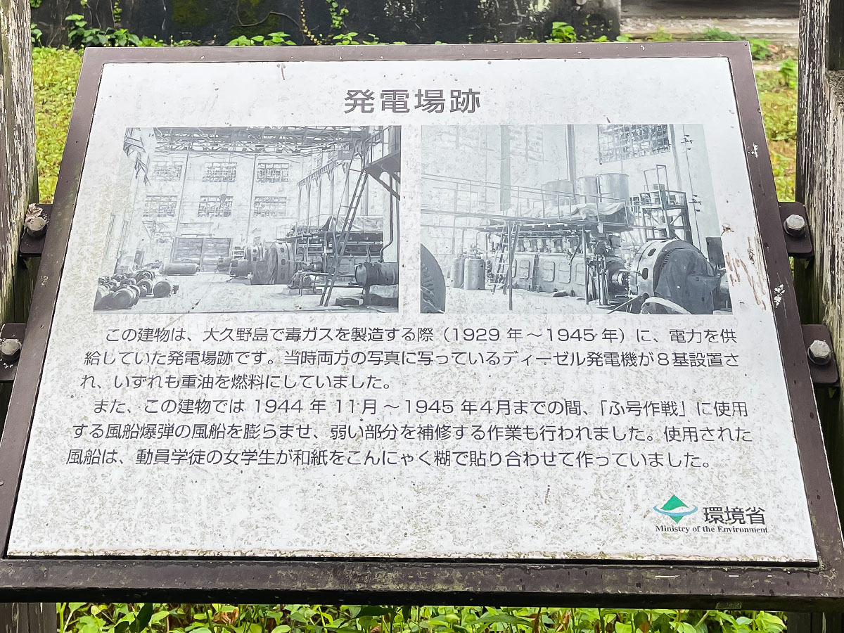 レンタル自転車で一周！大久野島(おおくのしま)でうさぎに癒されたよー／広島県竹原
