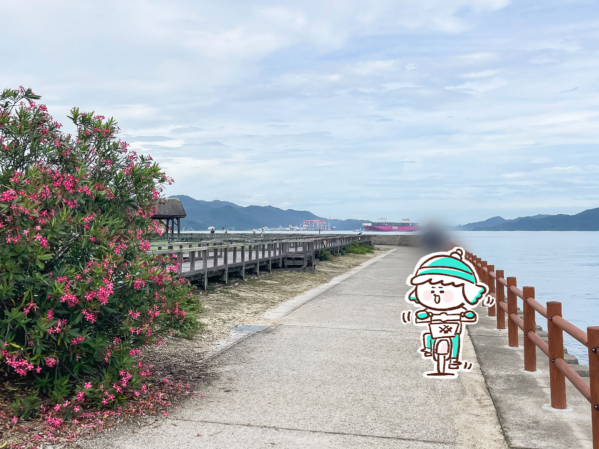 レンタル自転車で一周！大久野島(おおくのしま)でうさぎに癒されたよー／広島県竹原