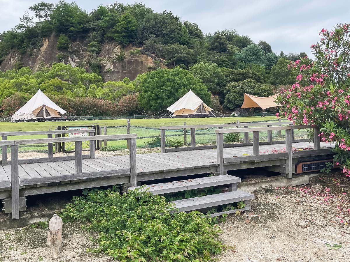 レンタル自転車で一周！大久野島(おおくのしま)でうさぎに癒されたよー／広島県竹原