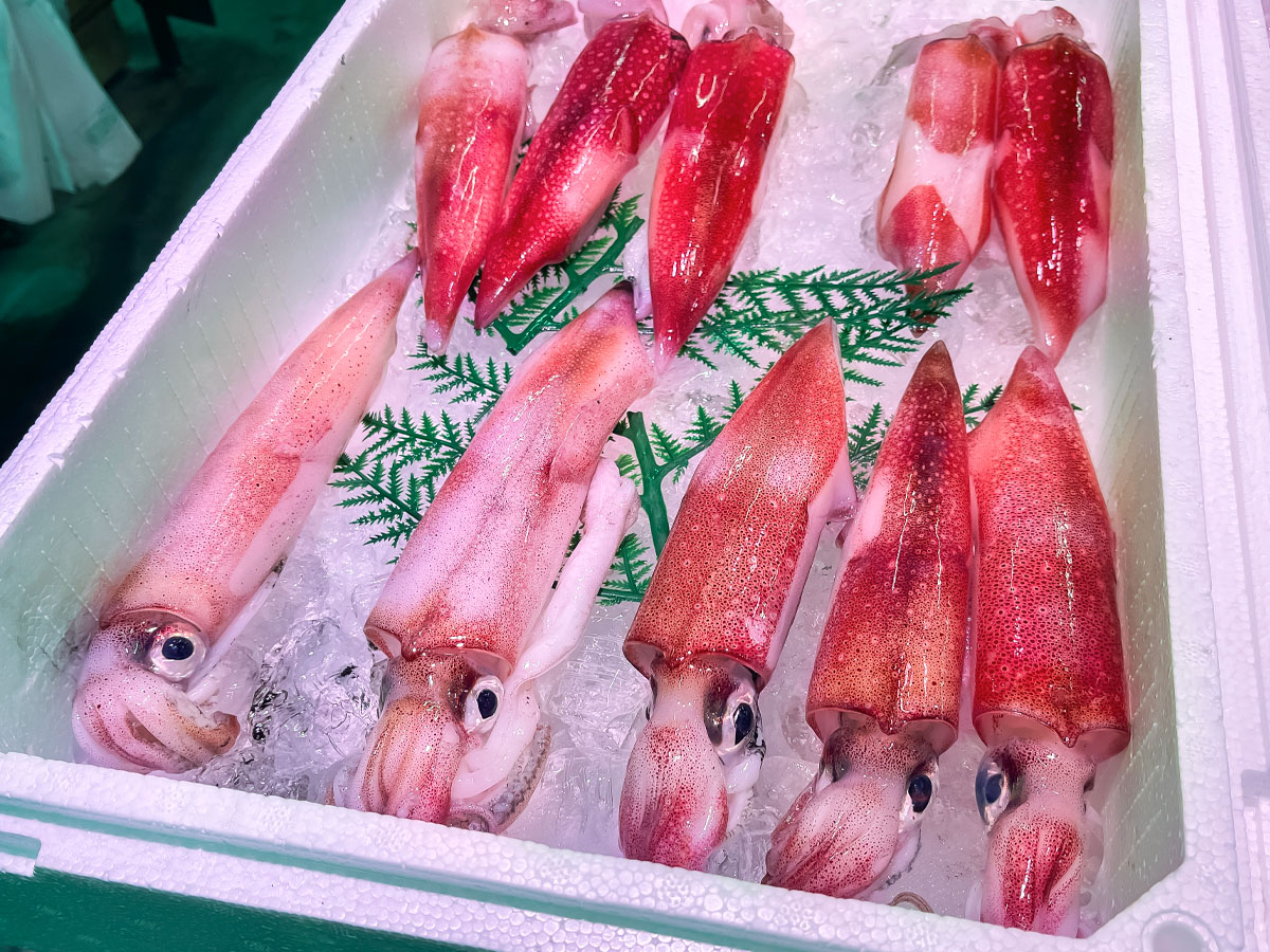 「境港水産物直売センター」で天然岩がき"夏輝"、白イカ、本まぐろ寿司、甘海老の刺身食べたよ！