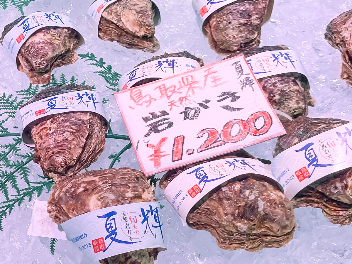 「境港水産物直売センター」で天然岩がき"夏輝"、白イカ、本まぐろ寿司、甘海老の刺身食べたよ！