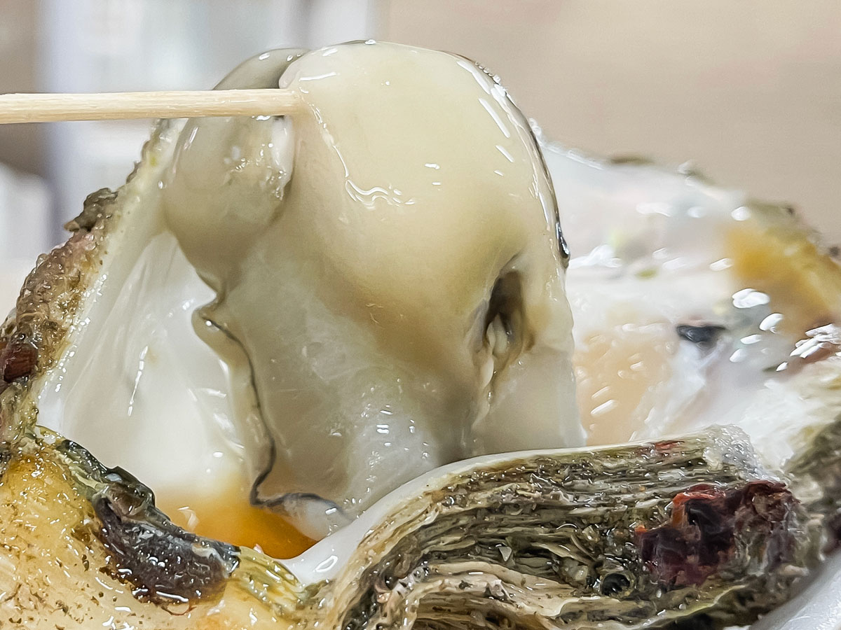 「境港水産物直売センター」で天然岩がき"夏輝"、白イカ、本まぐろ寿司、甘海老の刺身食べたよ！