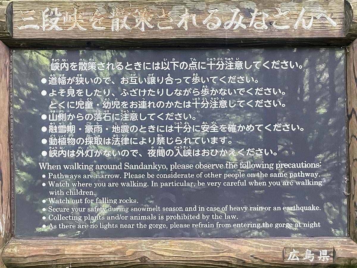 三段峡の「黒淵荘」でカレーライス、山女魚(ヤマメ)の串焼き食べたよ!/広島県安芸太田