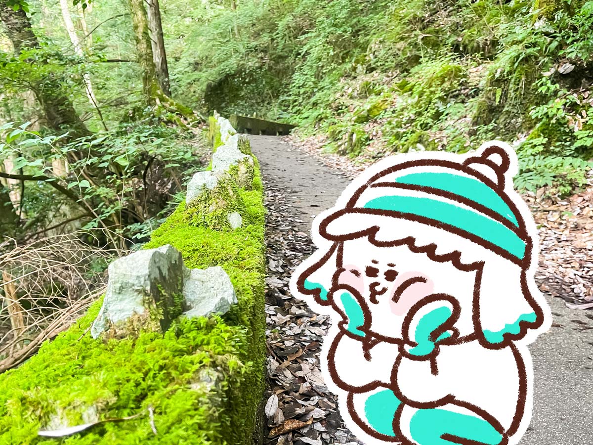 三段峡の「黒淵荘」でカレーライス、山女魚(ヤマメ)の串焼き食べたよ!/広島県安芸太田