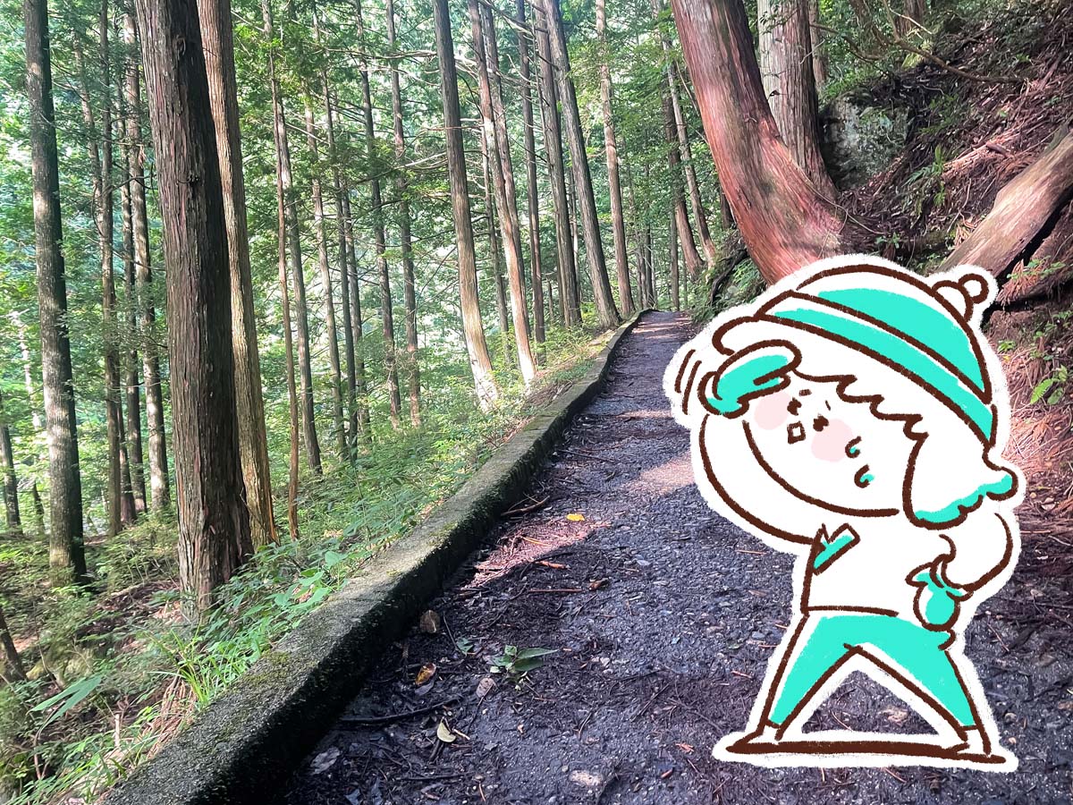三段峡の「黒淵荘」でカレーライス、山女魚(ヤマメ)の串焼き食べたよ!/広島県安芸太田