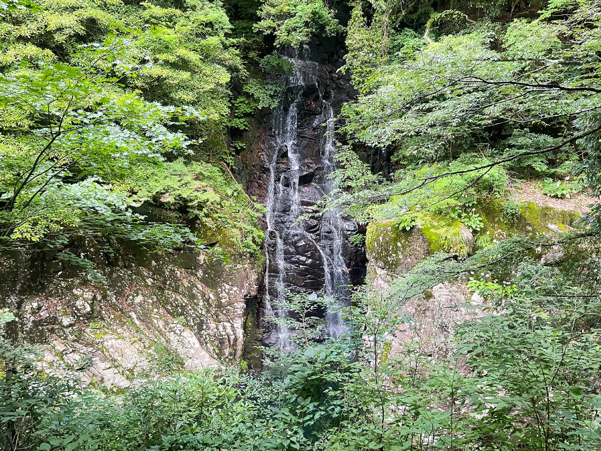 三段峡の「黒淵荘」でカレーライス、山女魚(ヤマメ)の串焼き食べたよ!/広島県安芸太田