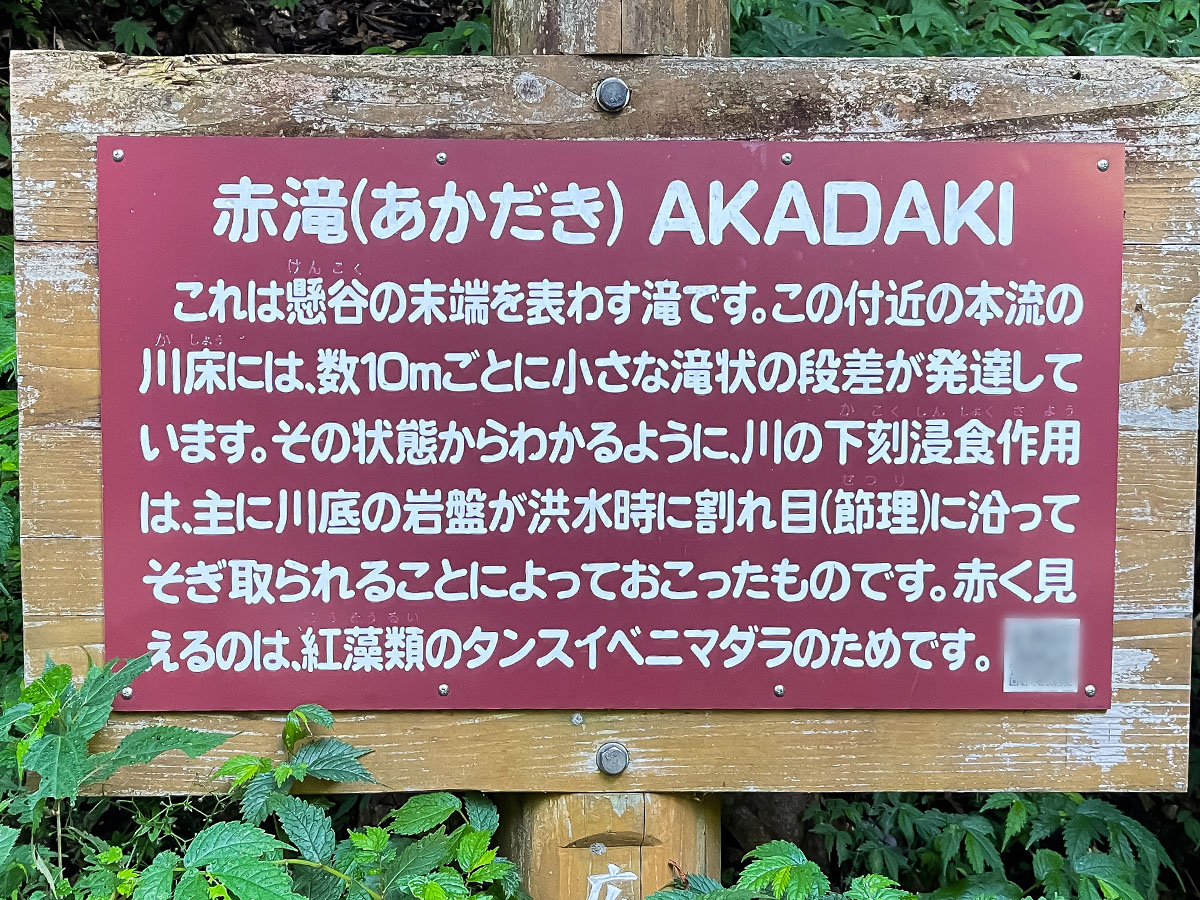 三段峡の「黒淵荘」でカレーライス、山女魚(ヤマメ)の串焼き食べたよ!/広島県安芸太田