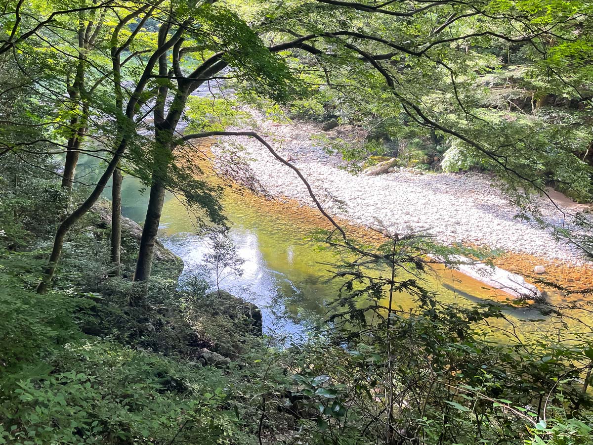 三段峡の「黒淵荘」でカレーライス、山女魚(ヤマメ)の串焼き食べたよ!/広島県安芸太田