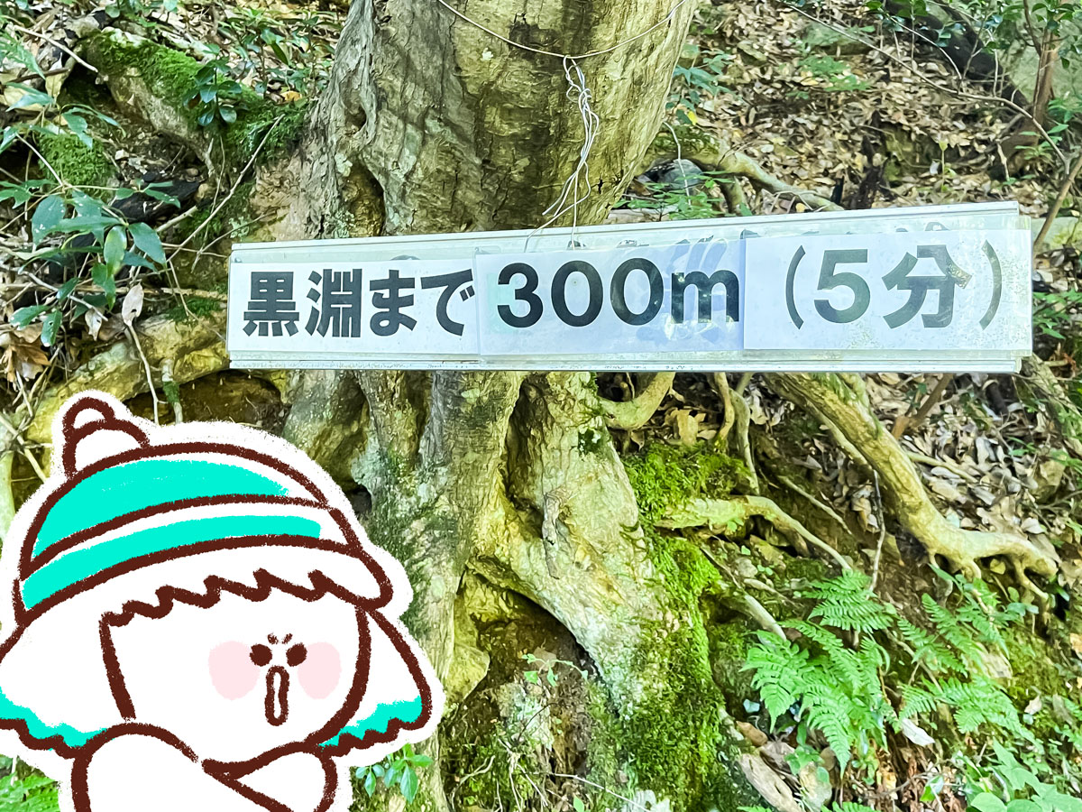 三段峡の「黒淵荘」でカレーライス、山女魚(ヤマメ)の串焼き食べたよ!/広島県安芸太田
