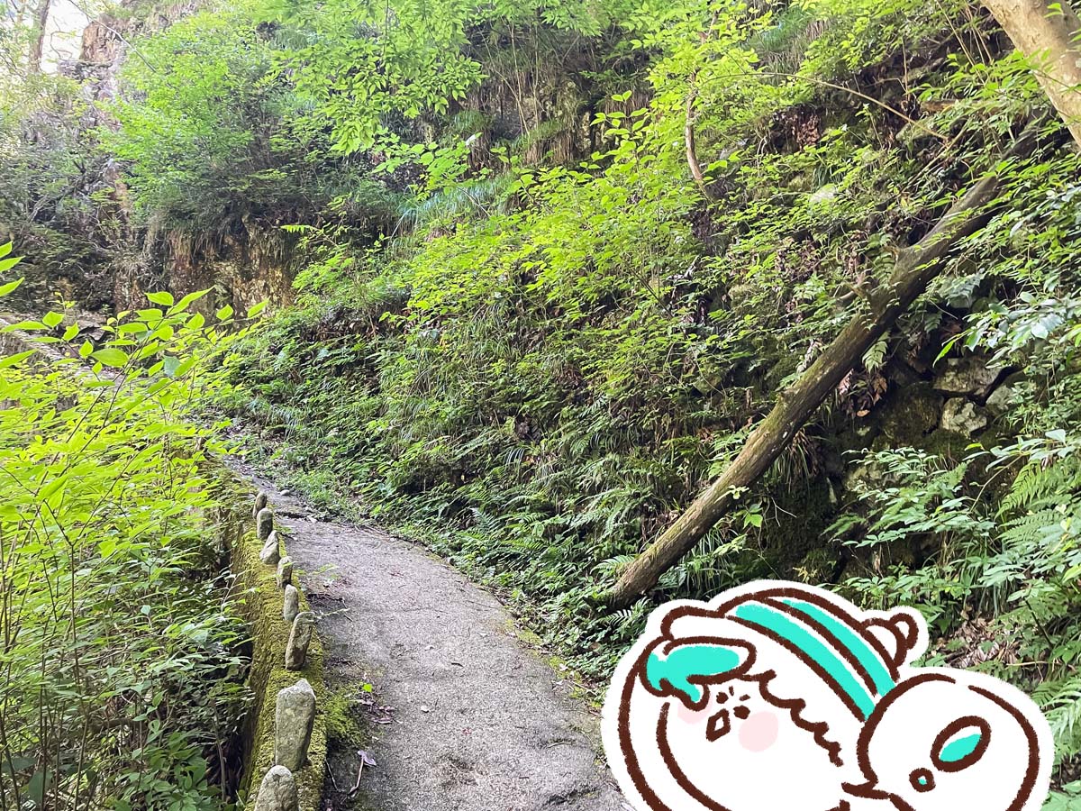 三段峡の「黒淵荘」でカレーライス、山女魚(ヤマメ)の串焼き食べたよ!/広島県安芸太田