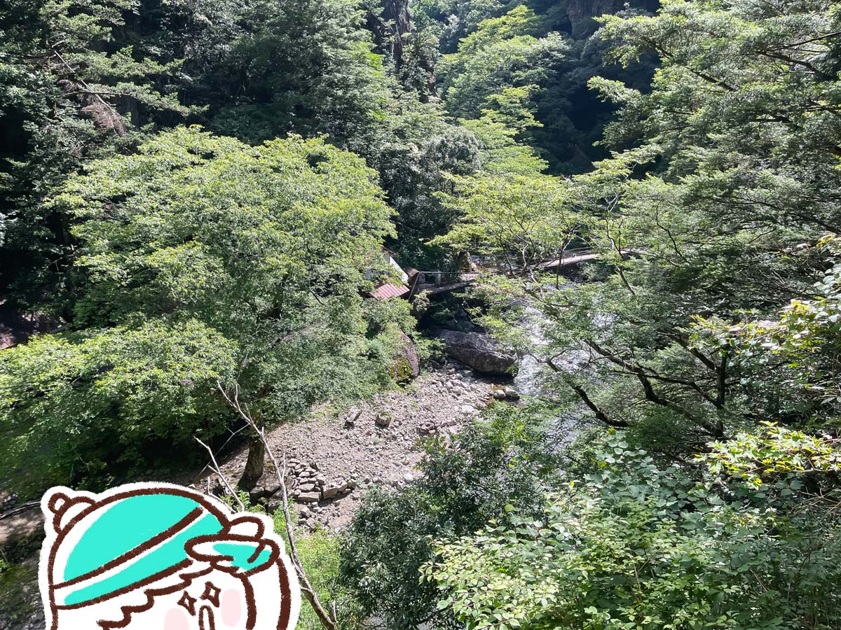 三段峡の「黒淵荘」でカレーライス、山女魚(ヤマメ)の串焼き食べたよ!/広島県安芸太田