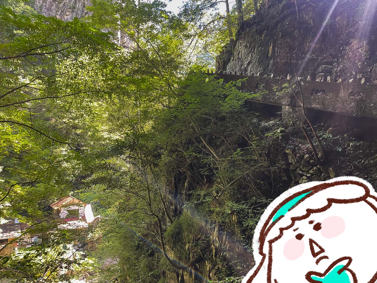 三段峡の「黒淵荘」でカレーライス、山女魚(ヤマメ)の串焼き食べたよ!/広島県安芸太田