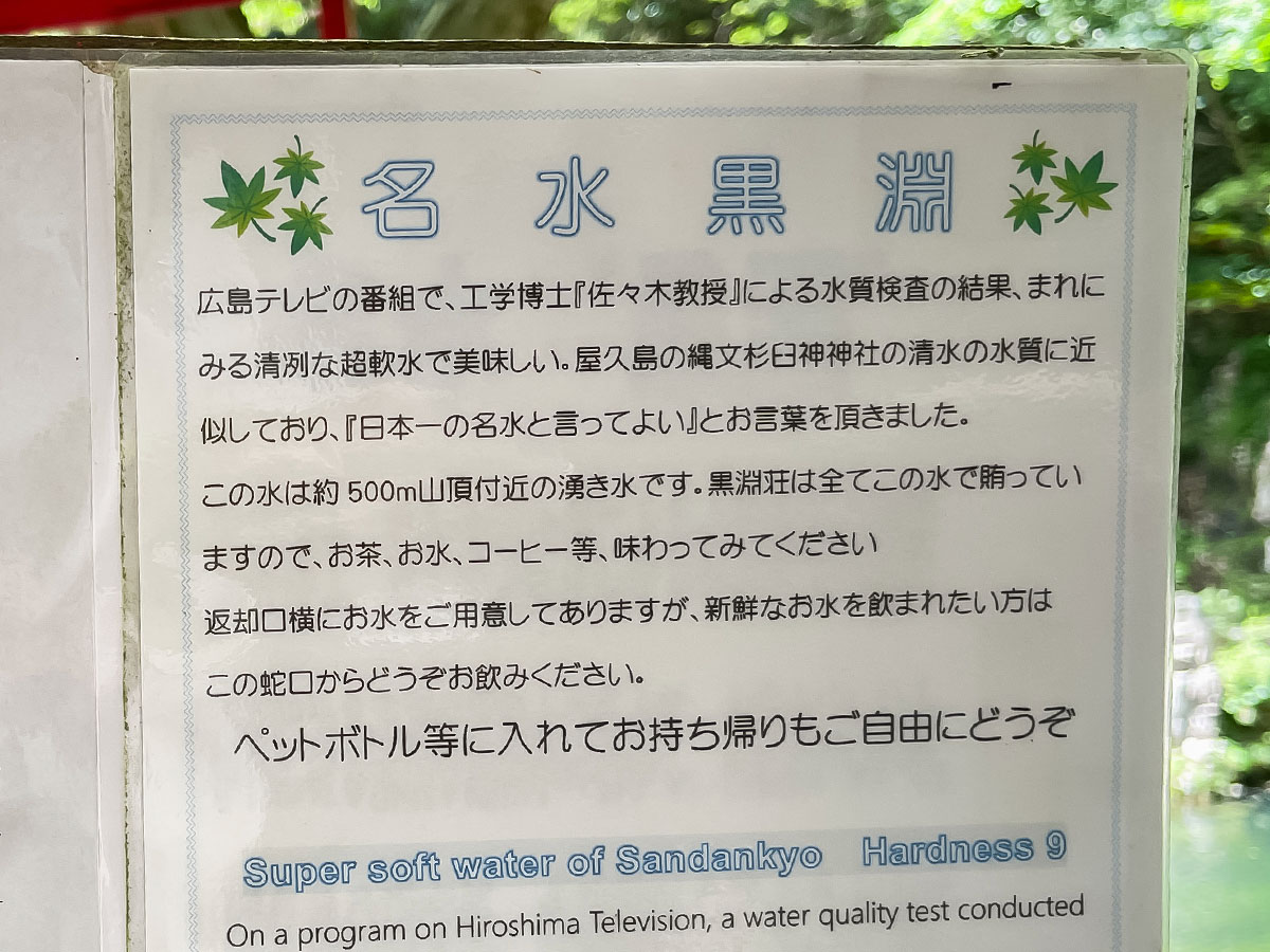 三段峡の「黒淵荘」でカレーライス、山女魚(ヤマメ)の串焼き食べたよ!/広島県安芸太田