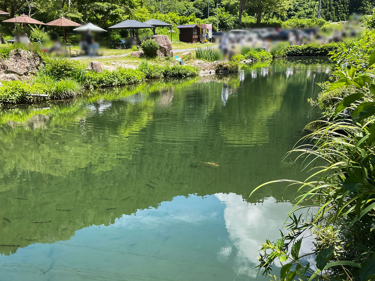 「湯来つり堀」で釣った"鮎"を焼いてもらって、おにぎりと食べたよ!/広島県湯来町