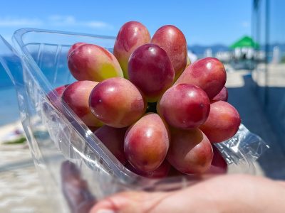 道の駅「キララ多伎」で赤いぶどう”神紅(しんく)”買ってみた！／島根県出雲市