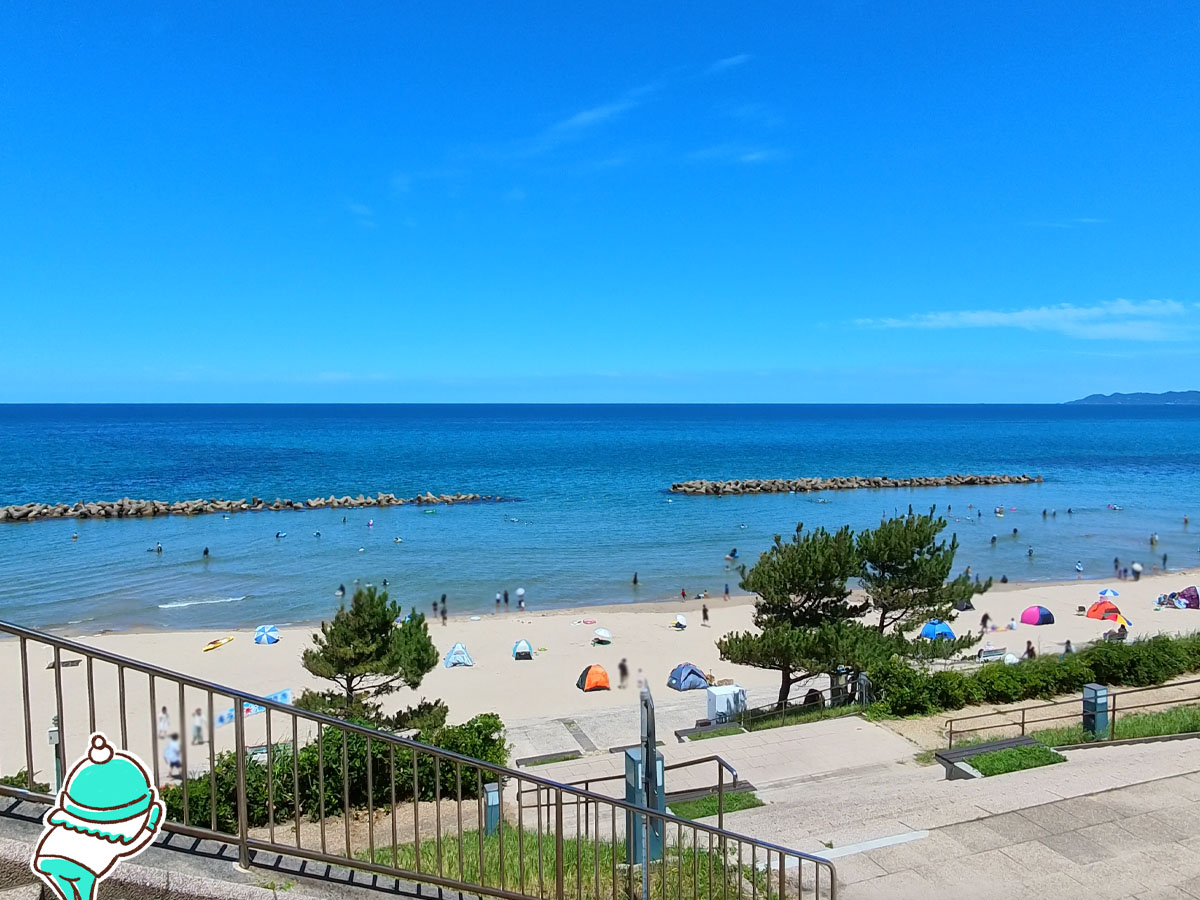 道の駅「キララ多伎」でキラチキ、海鮮たこやき(たこ・ホタテ・えび)食べた!/島根県出雲