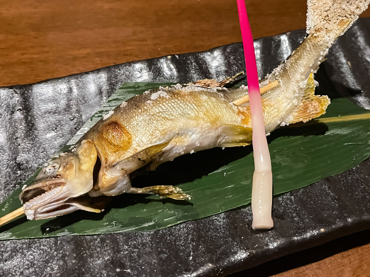 「おいでやす おおきに屋」でおばんざい、岩がき、鮎塩焼き、イカ唐揚げ食べた！／島根県松江