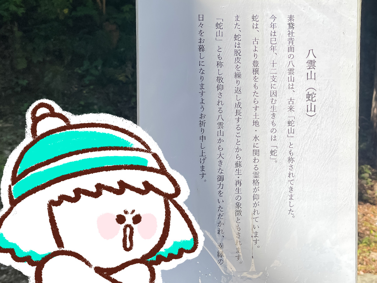 出雲大社(いづもおおやしろ)に行ってみたよ!/島根県出雲