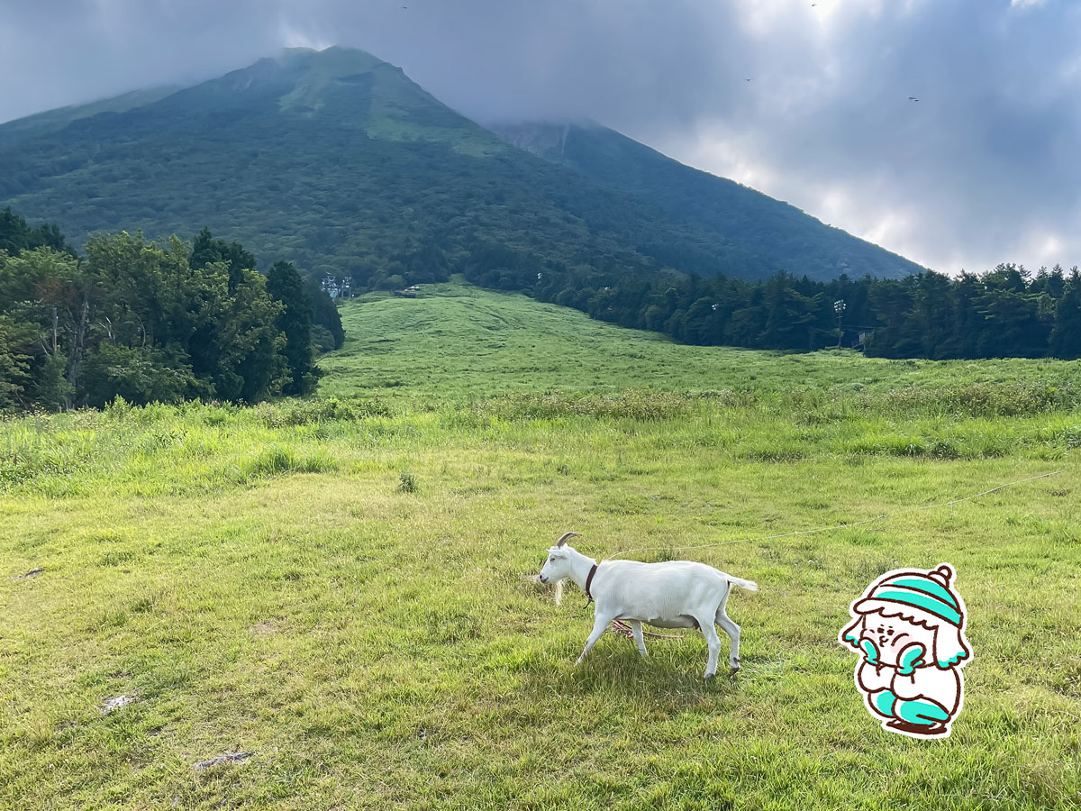 大山ますみず高原「天空リフト」乗ってみたよ!/鳥取県桝水高原