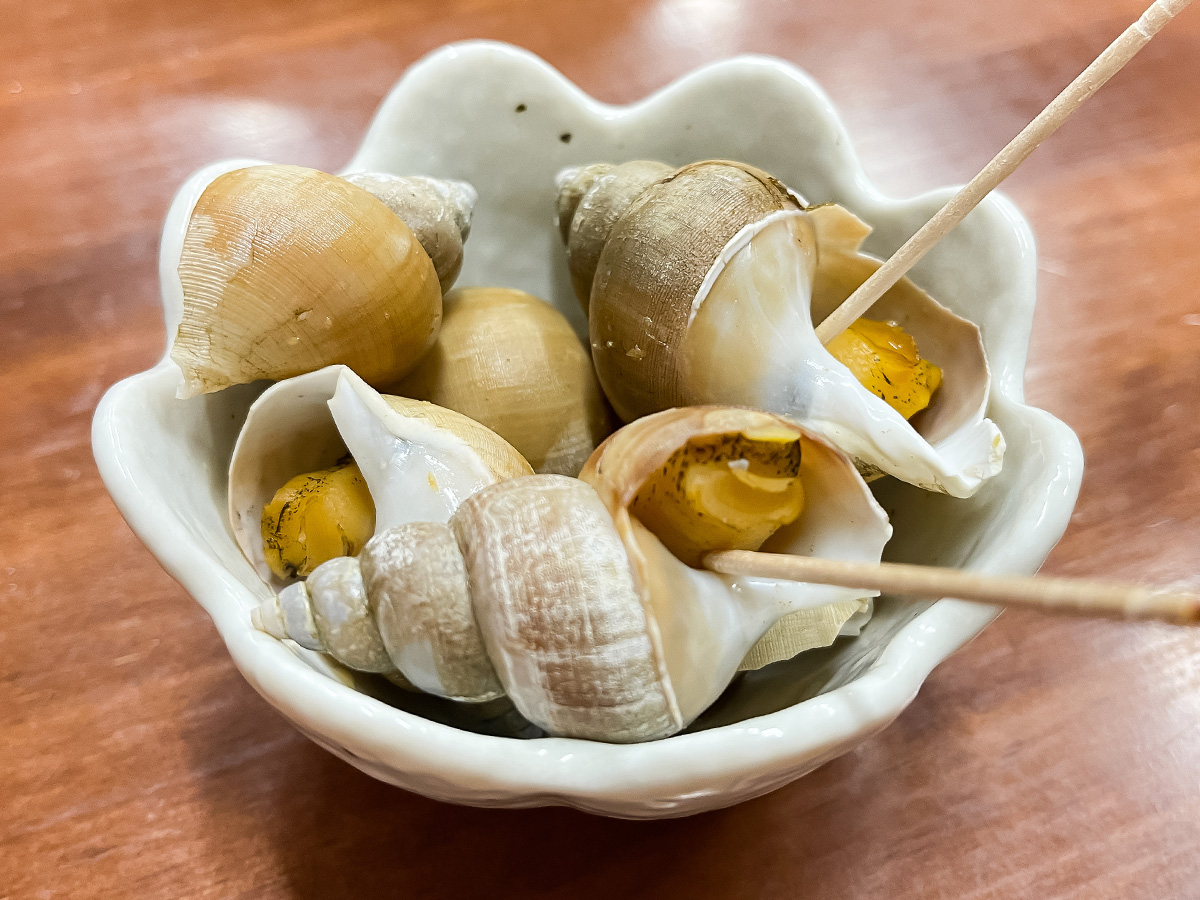 「ごよう松」で白バイ貝うま煮、白イカ刺身、宍道湖産しじみのおでん食べた／島根県松江カラコロ工房