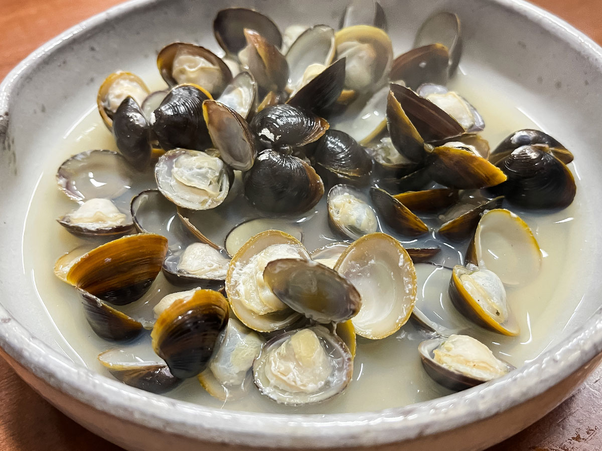 「ごよう松」で白バイ貝うま煮、白イカ刺身、宍道湖産しじみのおでん食べた／島根県松江カラコロ工房