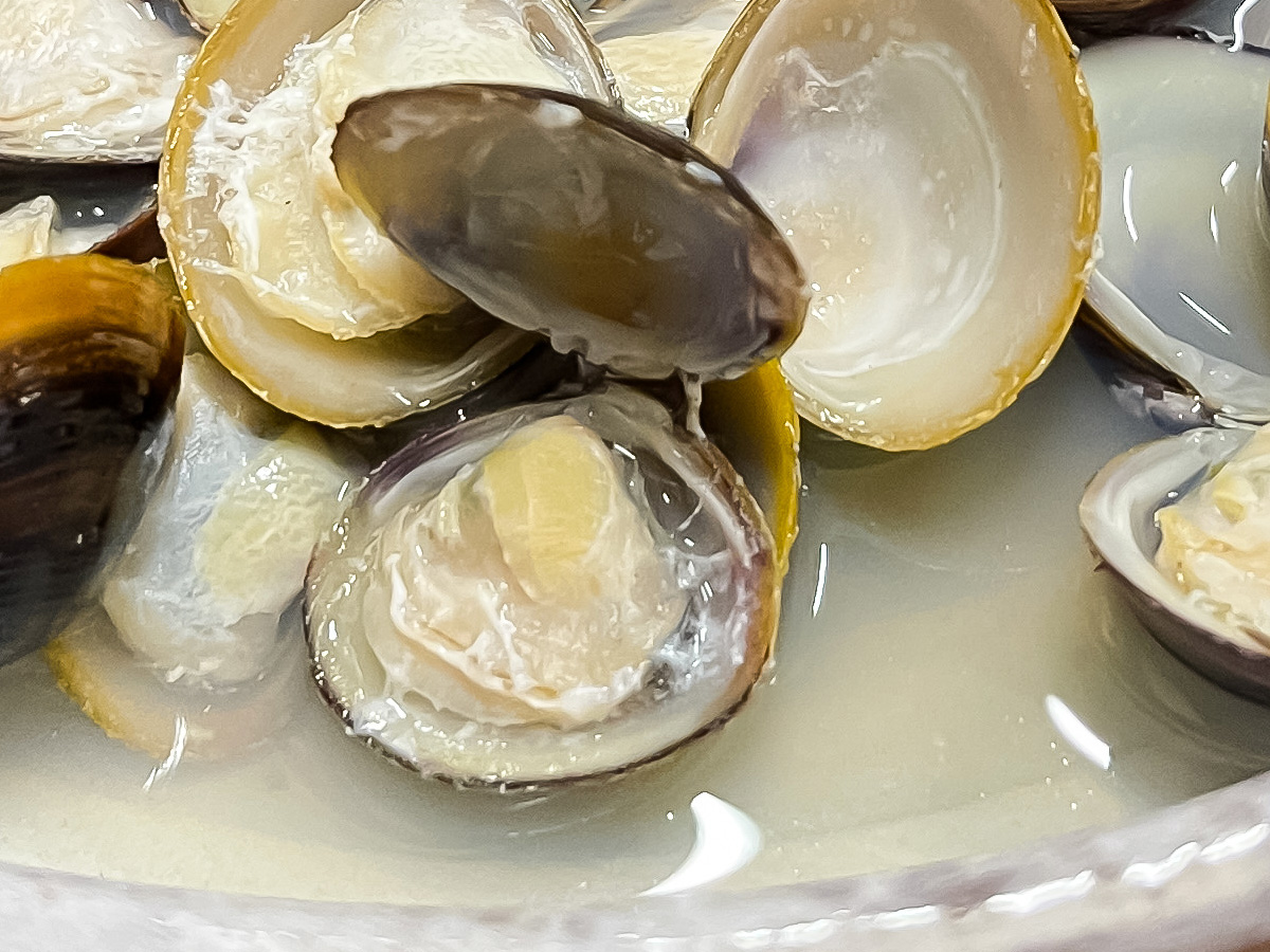 「ごよう松」で白バイ貝うま煮、白イカ刺身、宍道湖産しじみのおでん食べた／島根県松江カラコロ工房