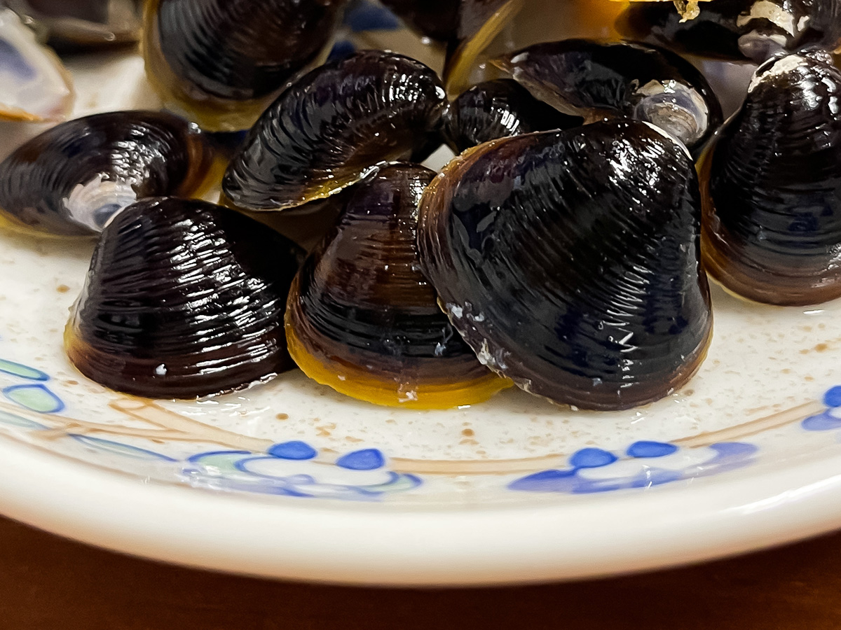 「ごよう松」で白バイ貝うま煮、白イカ刺身、宍道湖産しじみのおでん食べた／島根県松江カラコロ工房