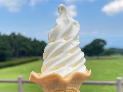 「大山まきば みるくの里」で白バラ牛乳を使用した特製ソフトクリーム食べたよ！／鳥取県大山