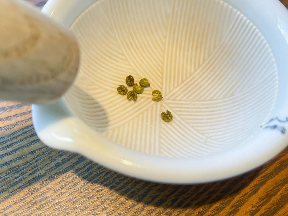 てまひま料理「根っこや」でうな平の"うなぎ蒲焼ハーフ"、鮎塩焼き、刺身盛(のどぐろ付)食べた!/島根県松江